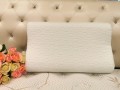 Sleepy Night Memory Foam Pillow